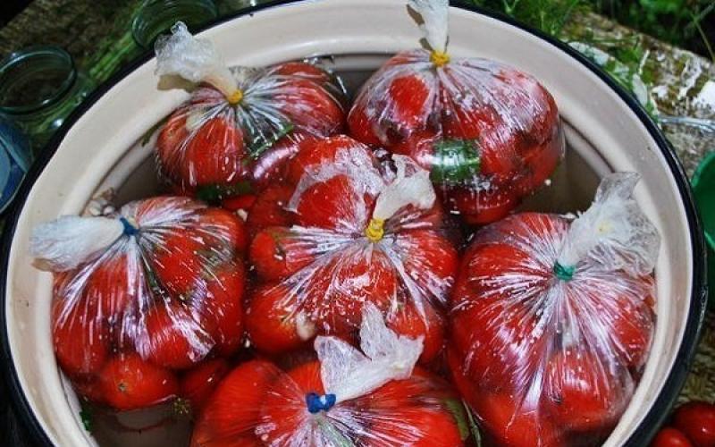 Малосольные помидоры с чесноком и зеленью быстрого приготовления Малосольные помидоры с зеленью быстрого приготовления
